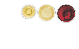 イタリアワイン6000年