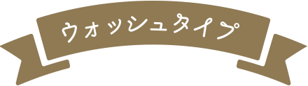 ウォッシュタイプ